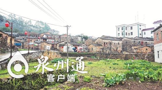 泉港区后龙镇土坑村:崇贤重教人才辈出 尚俭务实泽荫后人