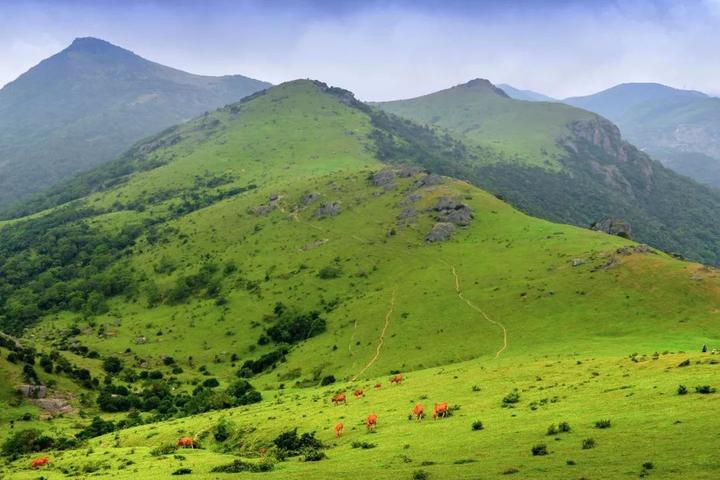 (南岭镇大山村)