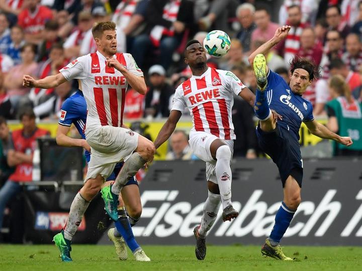 cologne on brink of relegation after 2-2 draw with schalke