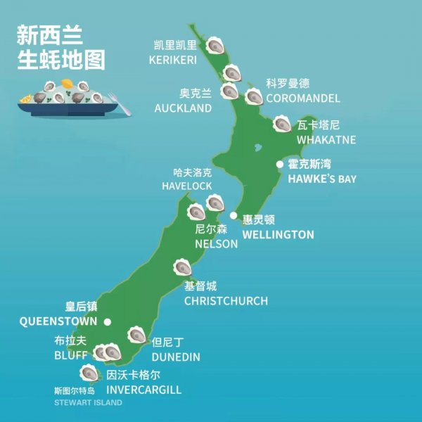 按照"新西兰生蚝地图" 打卡南岛北岛原产地