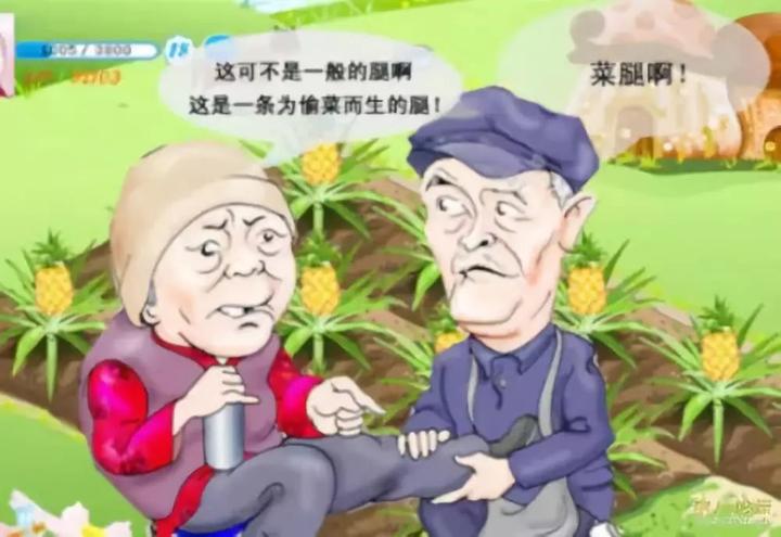 移民出国的中国坏老人们 被资本主义给治了.(图)