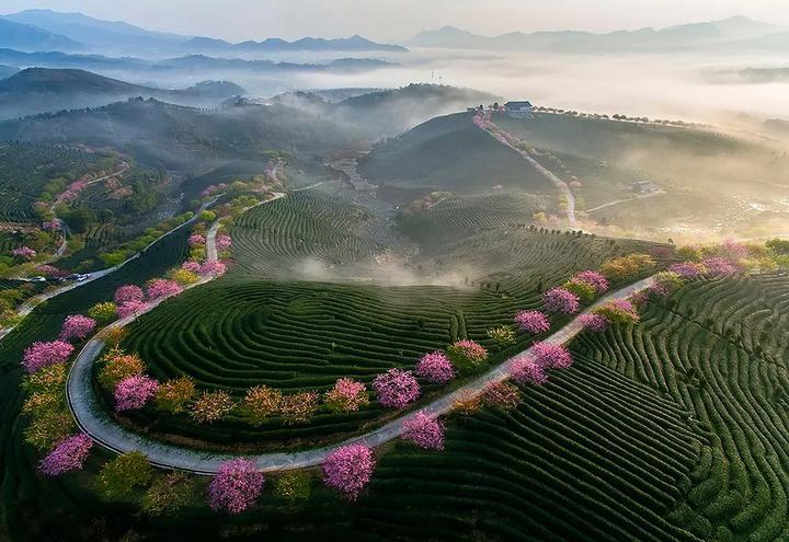 并将与"摄影目的地 动,助力乡村振兴建设,为当地