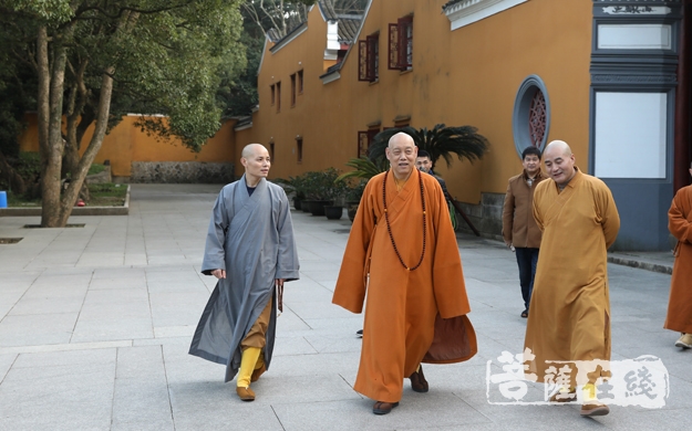 普济禅寺方丈道慈大和尚,副会长定明法师等一行前往普陀山各寺院走访