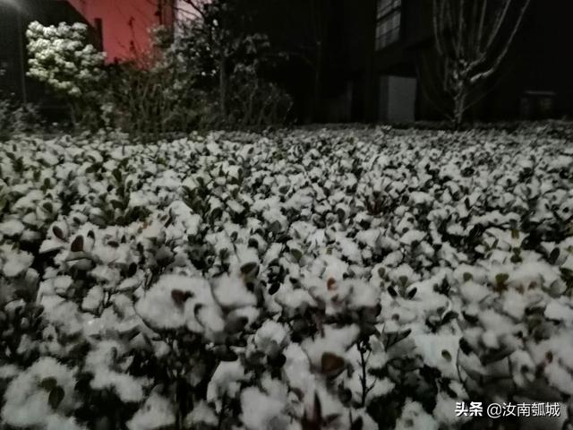 登高望远天中山，雪后的汝南格外美